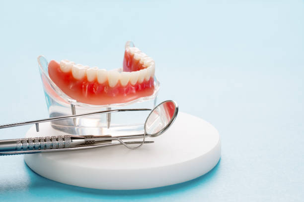 Best Dental Exams and Cleanings  in Frankfort, MI
